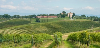 Ontdek wijnland Italië